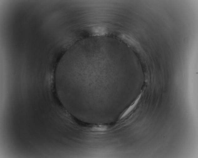 X0000088690369200706141416