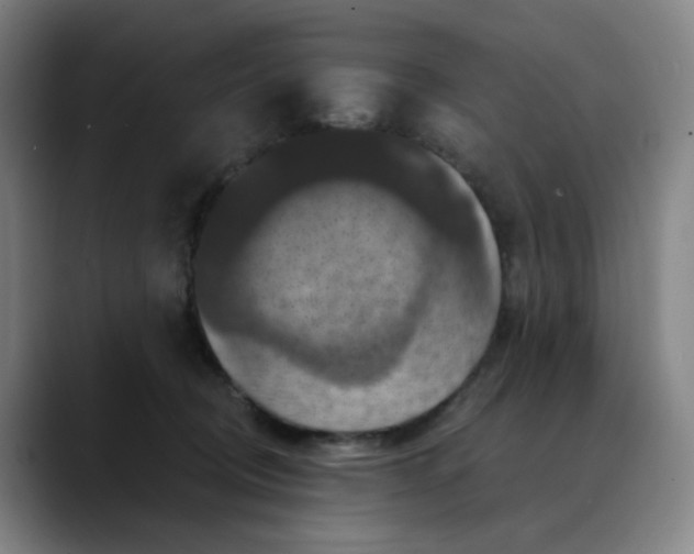 X0000088690370200706141416