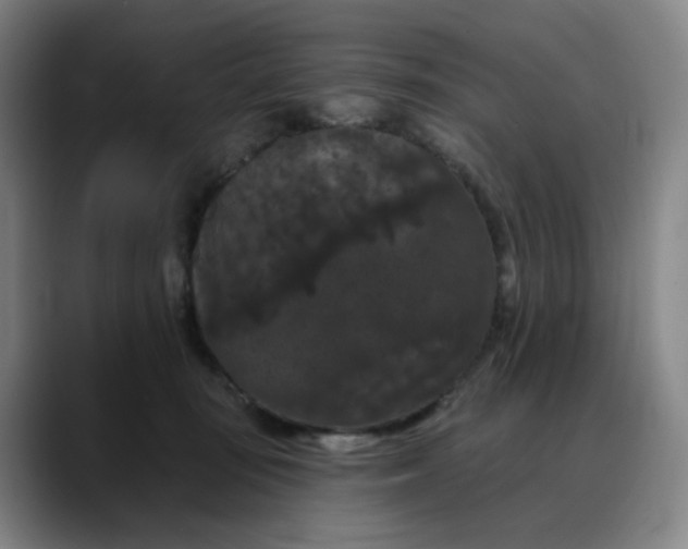 X0000088690371200706141416