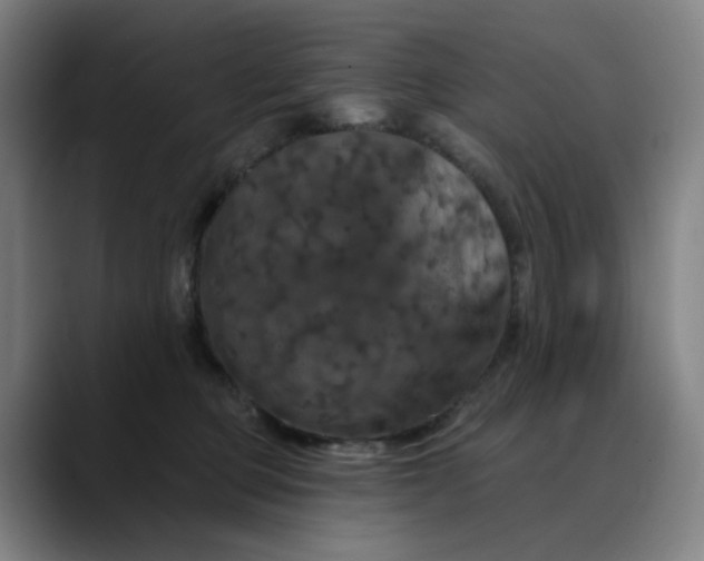X0000088690373200706141416