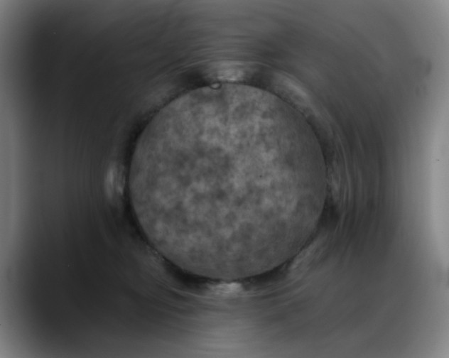 X0000088690374200706141416