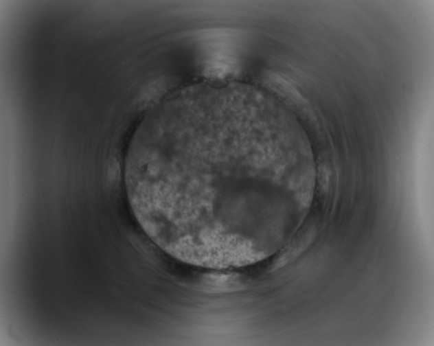 X0000088690375200706141416