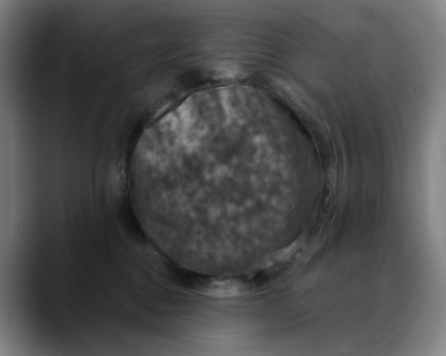 X0000088690376200706141416