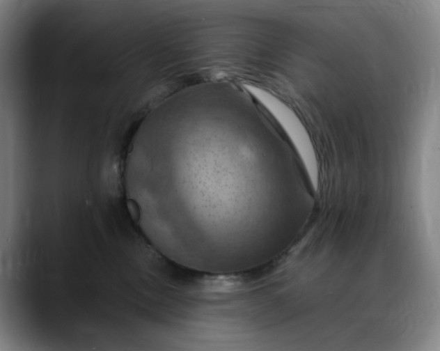 X0000088690378200706141416
