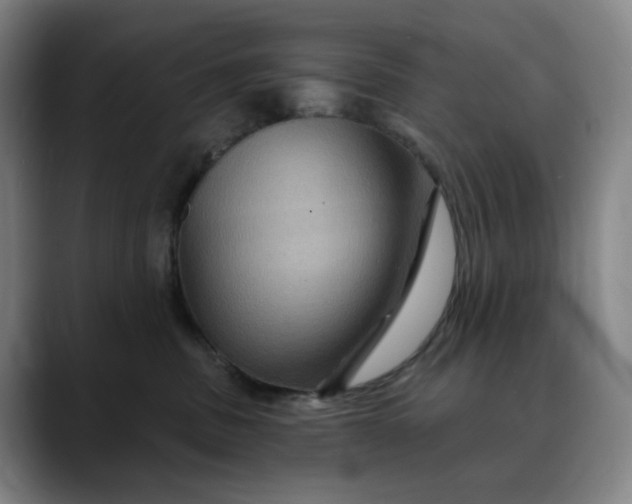 X0000088690379200706141416