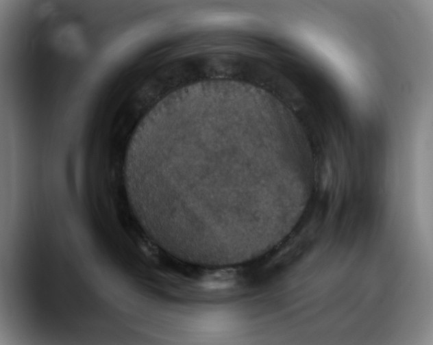 X0000088690382200706141416
