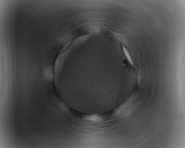 X0000088690383200706141416