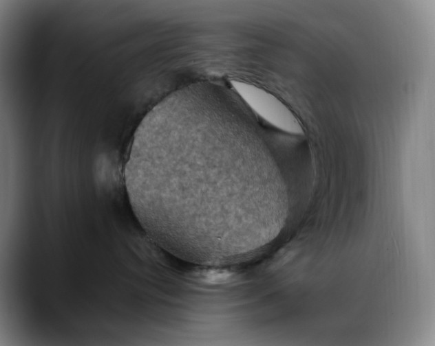 X0000088690384200706141417