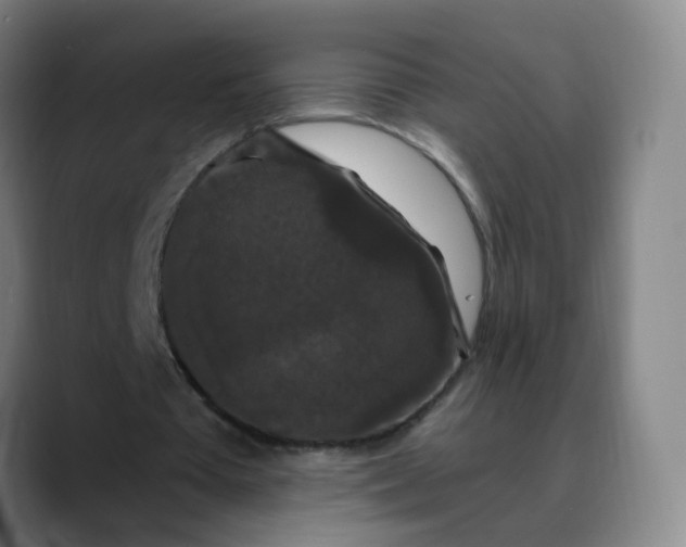 X0000088690385200706141416