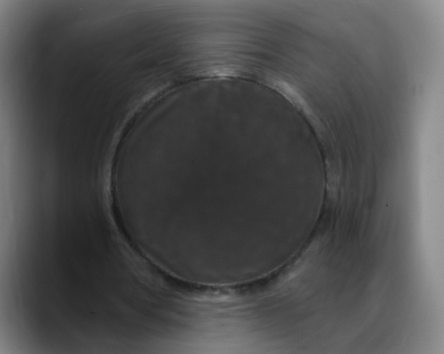X0000088690386200706141416