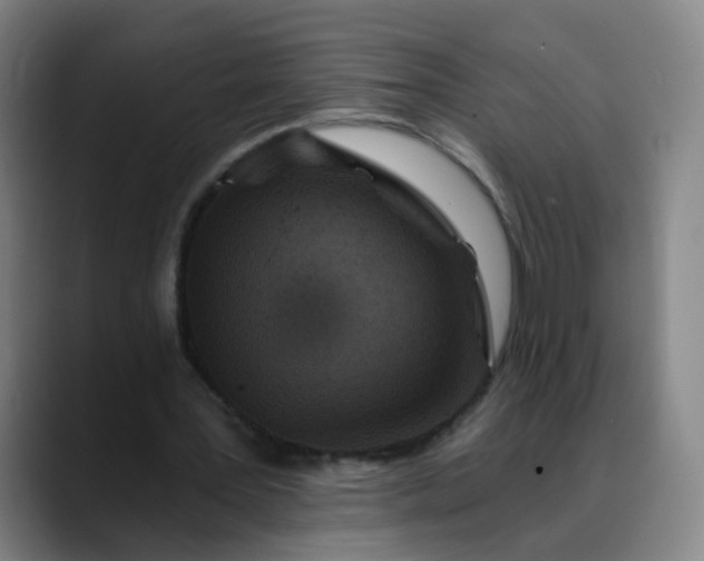 X0000088690387200706141416