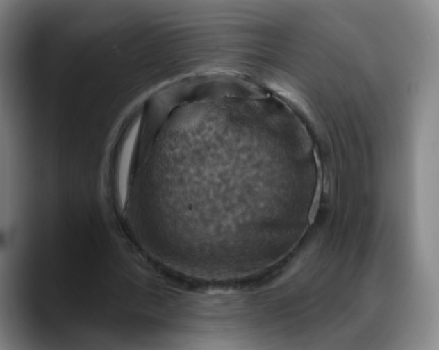 X0000088690388200706141416