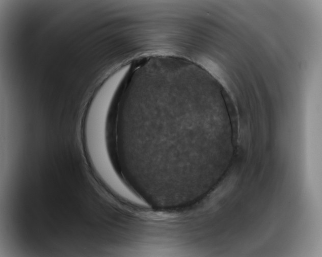 X0000088690389200706141416