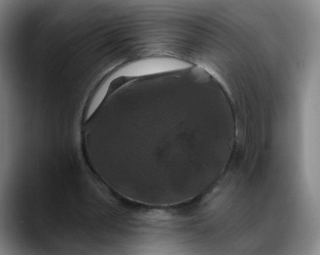 X0000088690390200706141416