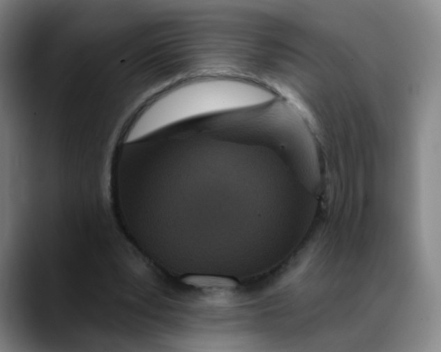 X0000088690391200706141416