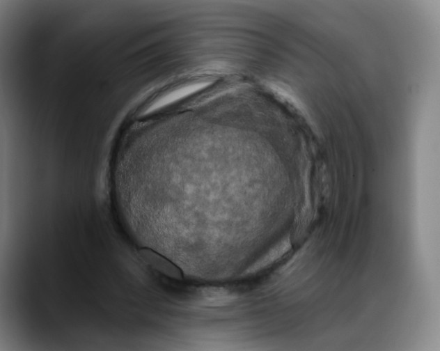 X0000088690392200706141416