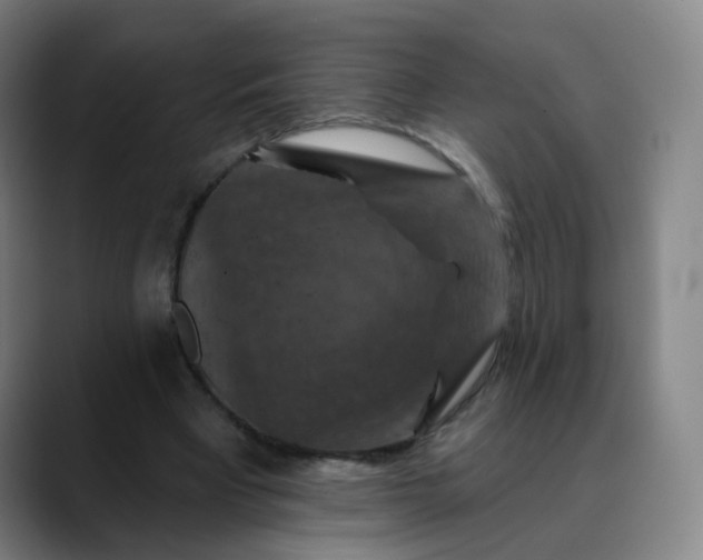 X0000088690393200706141416