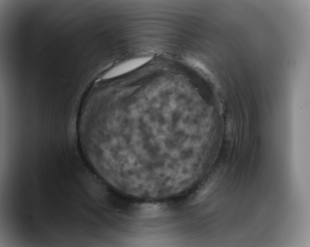 X0000088690394200706141416
