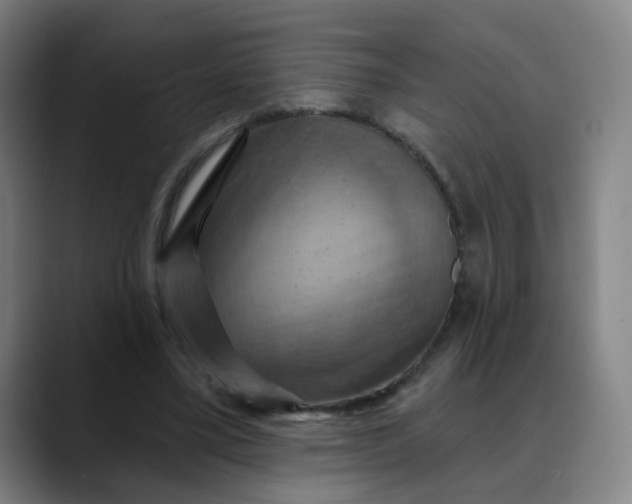 X0000088690395200706141416