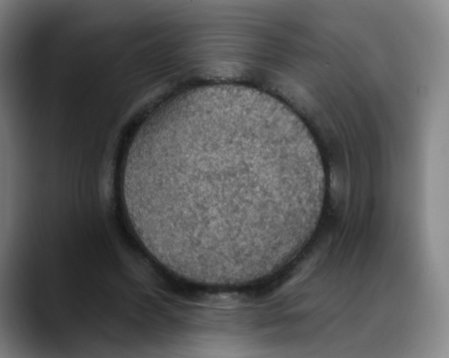 X0000088690396200706141416