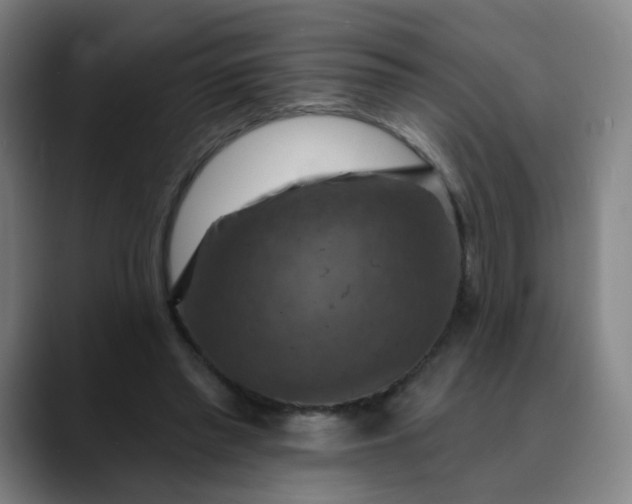 X0000088690397200706141416