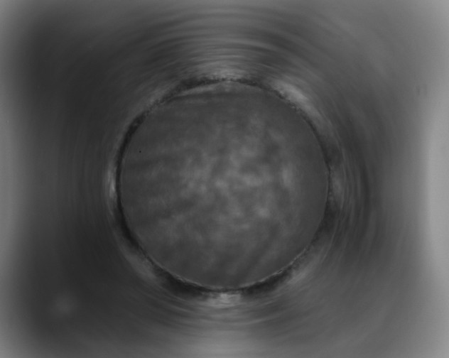 X0000088690398200706141416