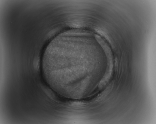 X0000088690400200706141416