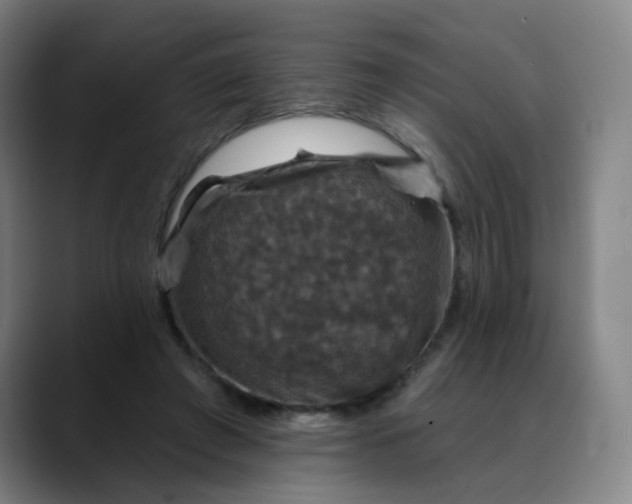 X0000088690401200706141416