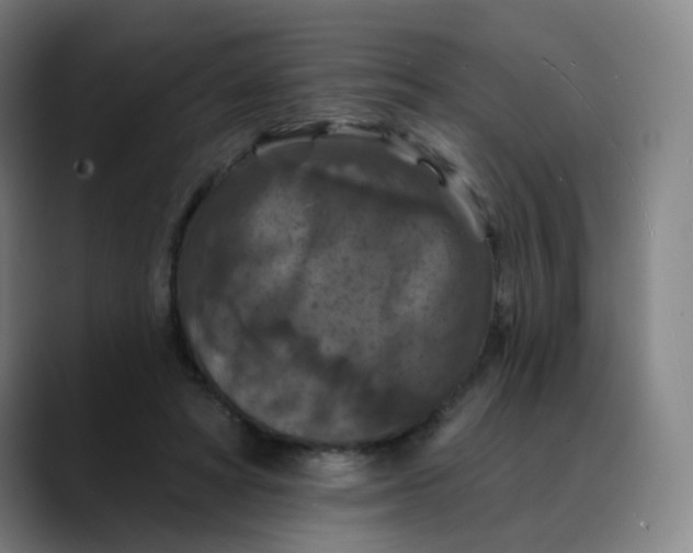 X0000088690402200706141416