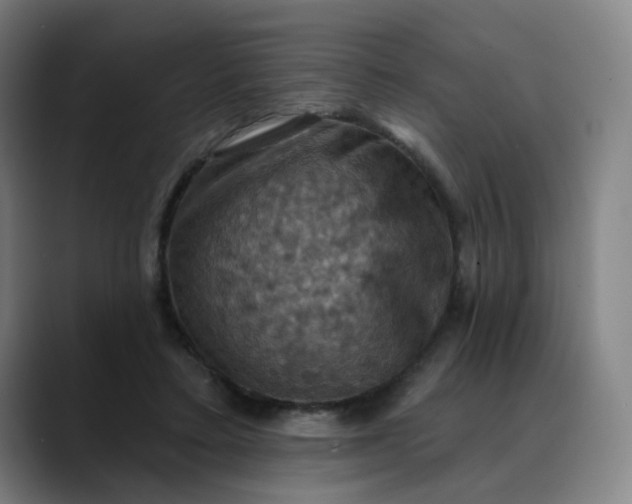 X0000088690403200706141416