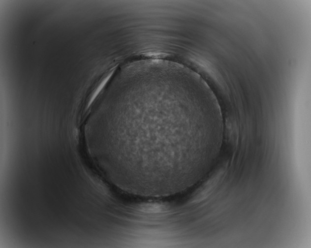 X0000088690404200706141416