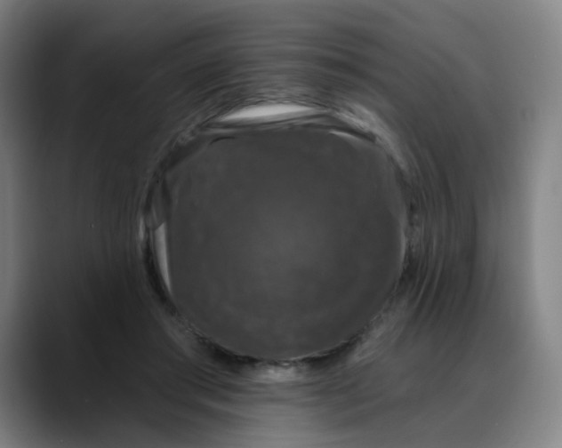X0000088690405200706141416