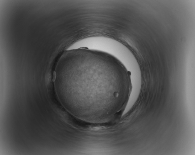 X0000088690407200706141416