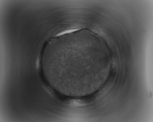 X0000088690408200706141416