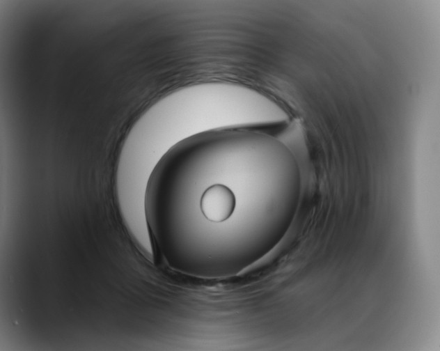 X0000088690411200706141416