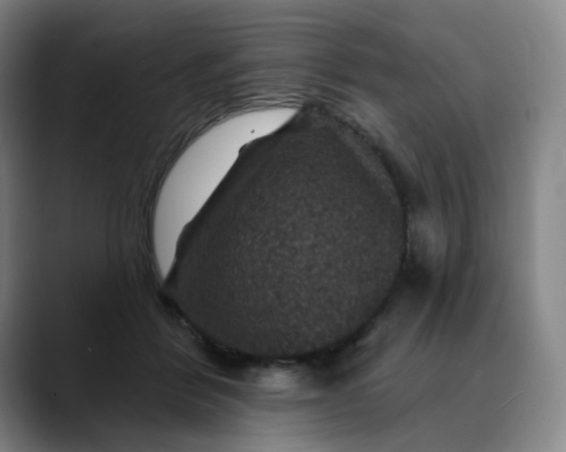 X0000088690412200706141416