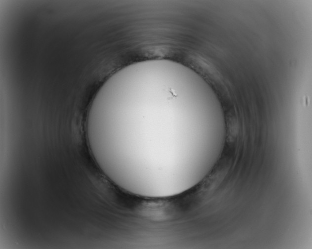 X0000088690414200706141416