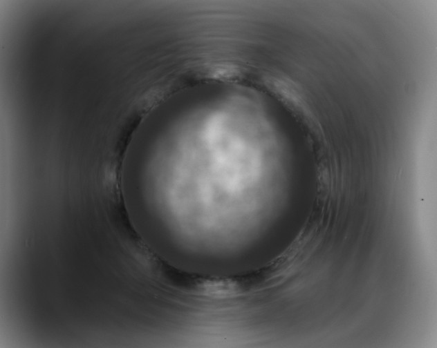X0000088690415200706141416