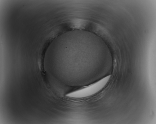 X0000088690416200706141416