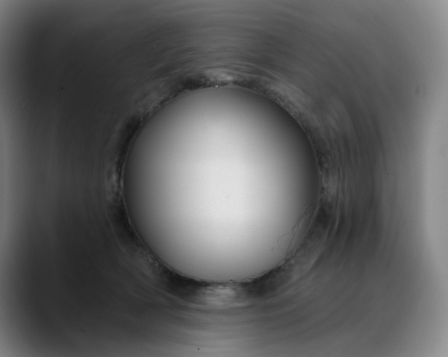 X0000088690418200706141416