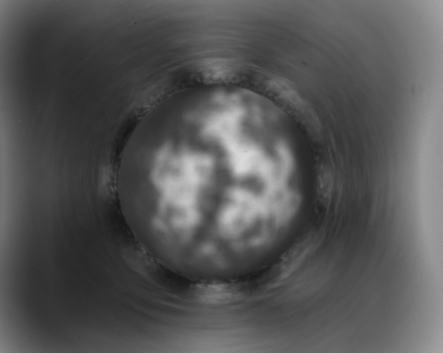 X0000088690419200706141416