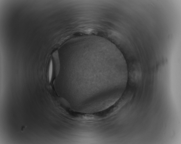 X0000088690420200706141416