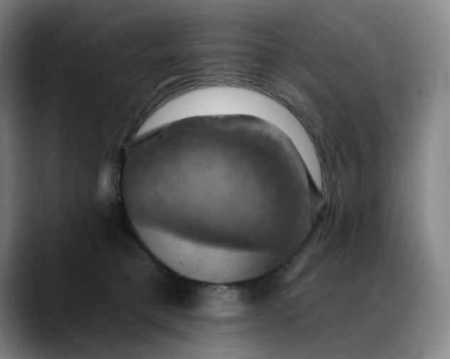 X0000088690421200706141416