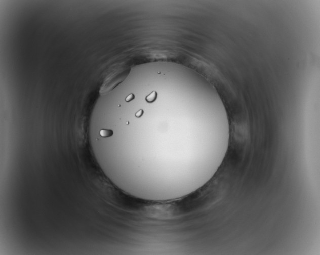 X0000088690422200706141416