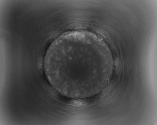 X0000088690423200706141416
