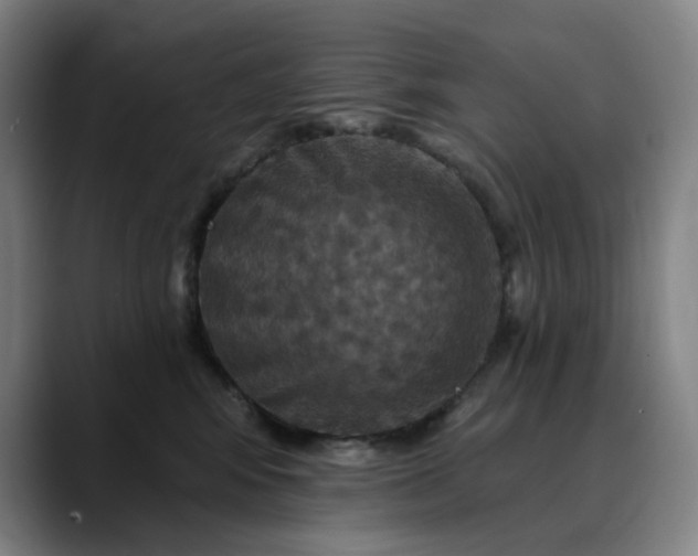 X0000088690424200706141415