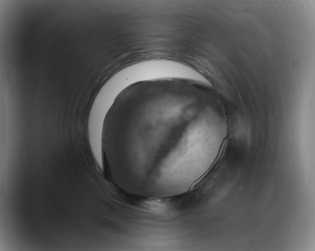 X0000088690425200706141415