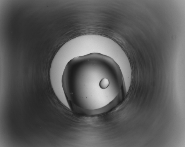 X0000088690429200706141415