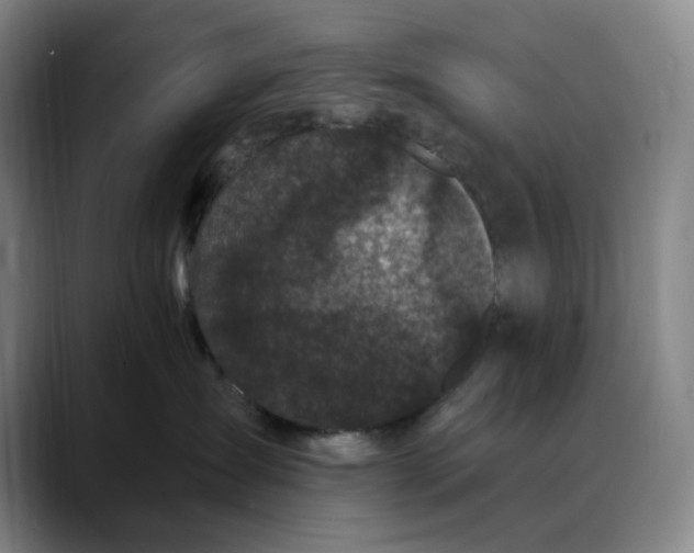 X0000088690431200706141415