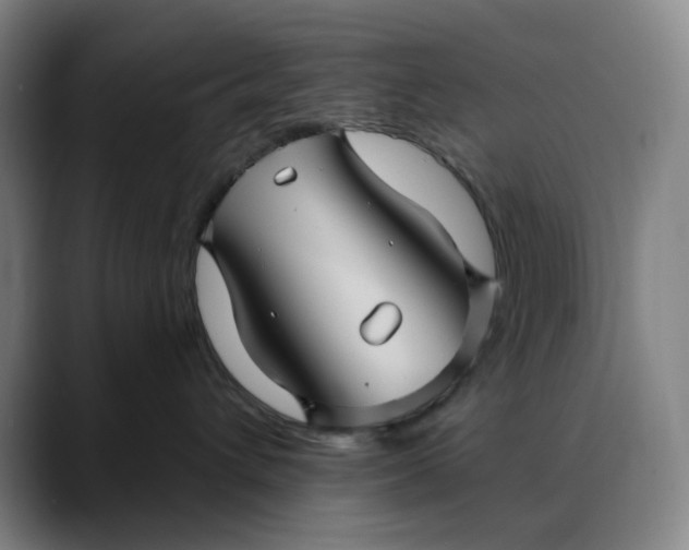 X0000088690432200706141415